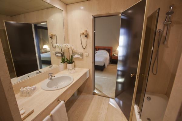 Executive Double or Twin Room